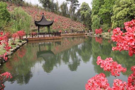 2022宣城和合生态园旅游攻略 - 门票 - 交通