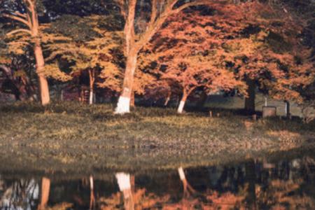 太子湾公园旅游攻略-门票价格-景点信息