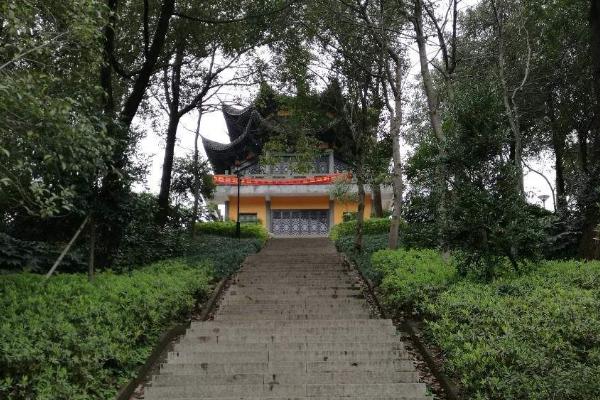 隆山公園在哪里 隆山公園有什么好玩的