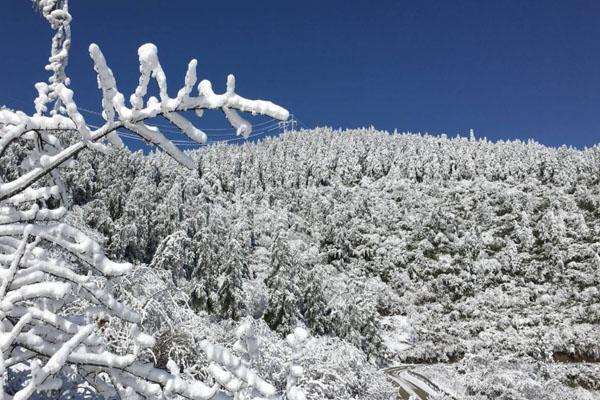 重庆武陵山下雪了吗2020 武陵山雪景观赏指南