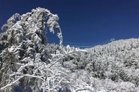 重庆武陵山下雪了吗2020 武陵山雪景观赏指南