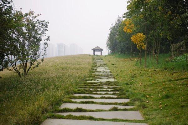 重庆草海湾公园在哪里-怎么坐车