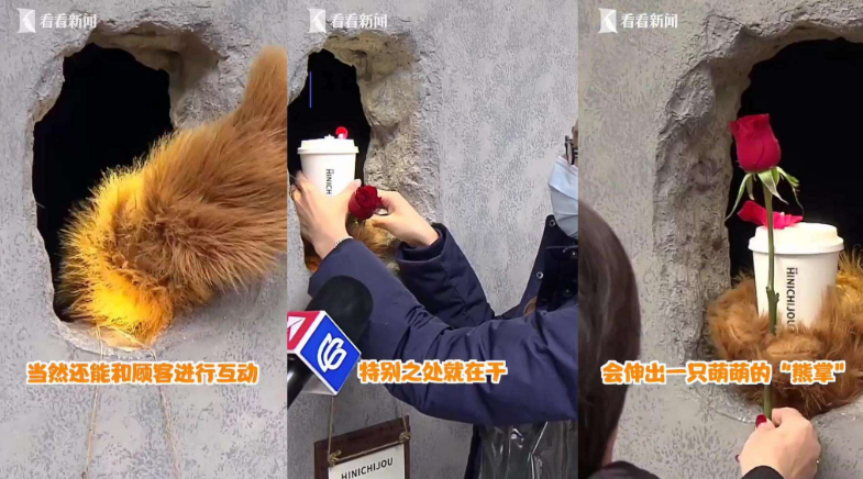 上海网红熊爪咖啡店在哪里 熊爪咖啡店名是什么