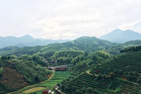 2023福建省大田县博物馆旅游攻略 - 门票价格 - 开放时间 - 交通天气 - 地址 - 简介 - 电话
