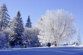 吉林冬季旅游景点攻略 赏雪景好去处