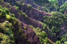 萝卜岩自然保护区旅游攻略-门票价格-景点信息