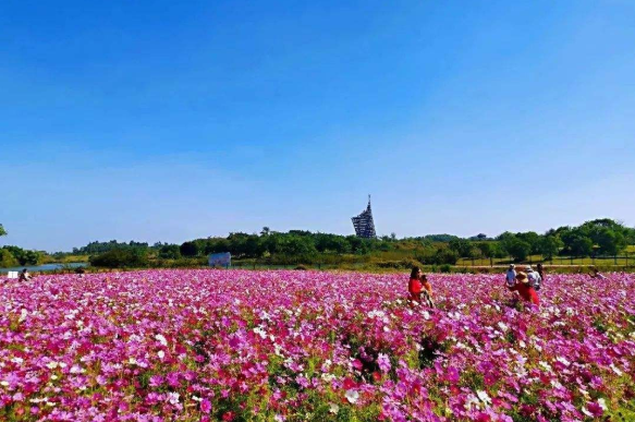 芒果TV综艺希望的田野在哪拍的-取景地介绍