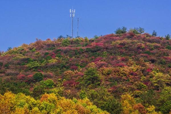 荆门网红打卡的地方在哪里 荆门旅游攻略