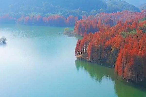 太平湖在安徽什么地方 冬日太平湖景色