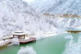2020重庆红池坝下雪了吗 重庆红池坝风景区在什么地方