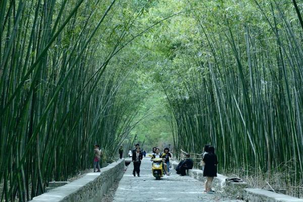 2022绿竹风情园旅游攻略 - 景点介绍 - 门票 -
交通