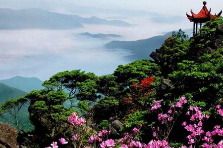 2023阳明山国家森林公园门票 - 交通 - 地址 - 旅游攻略