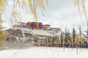 1月份旅游最值得去的地方 1月份旅游最佳目的地
