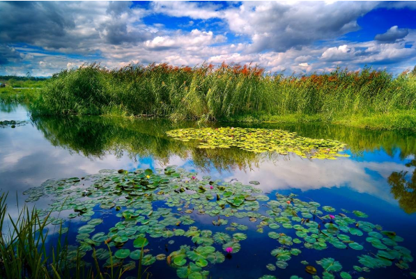 昆明滇池湿地最佳观赏期什么时候 昆明滇池湿地在哪