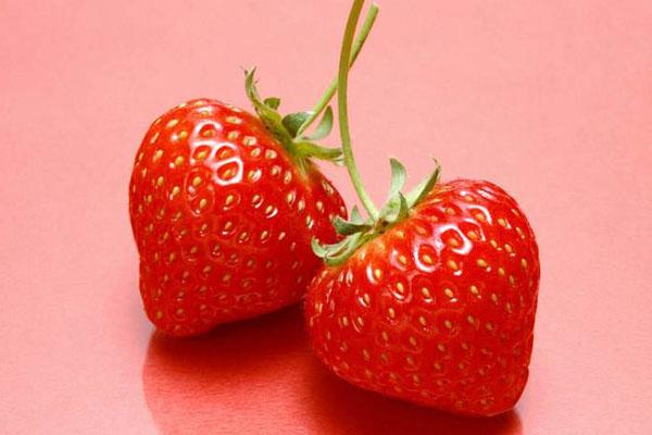 杭州哪里可以采草莓 地址电话门票