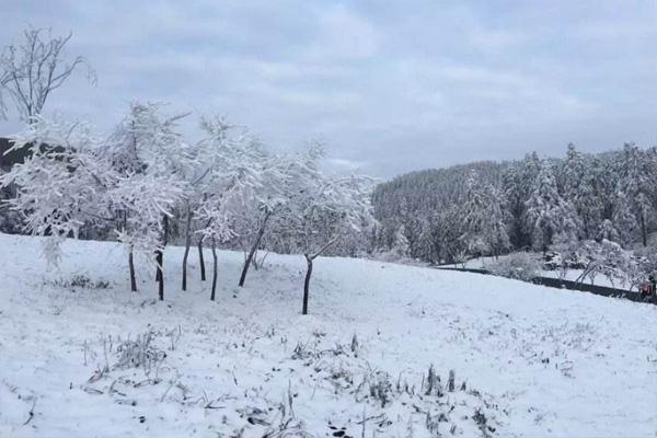 重庆渝北下雪了吗2020 12月去重庆游玩适合吗