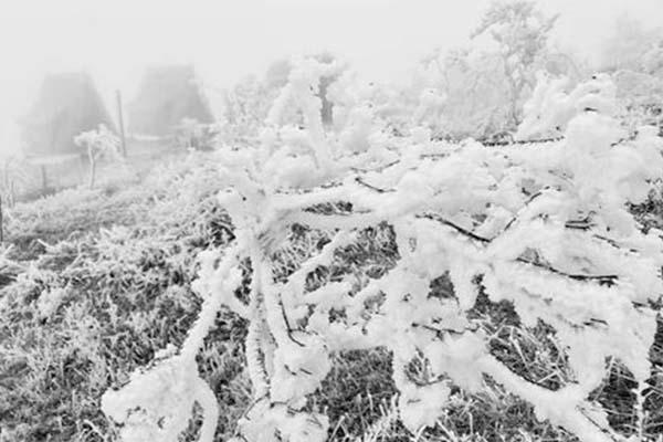 長沙周邊賞雪好去處 長沙賞雪地推薦