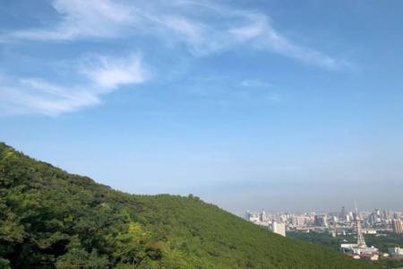 2022千佛山森林公园旅游攻略 - 景点介绍 - 门票 - 交通 - 天气