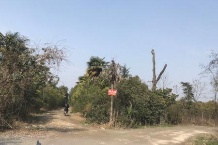 2022陕南珍稀植物园旅游攻略 - 门票 - 交通 - 天气