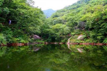 2023天龙池景区旅游攻略 - 景点介绍 - 门票 - 交通 - 天气