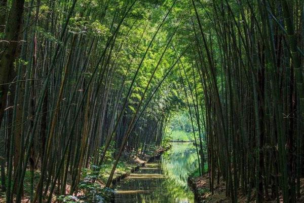 2022广元竹子溪湿地公园旅游攻略 - 门票 - 交通