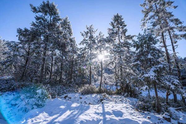 成都耍雪有哪些地方 成都周边雪山有哪些