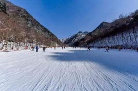 2023-2024西安翠华山滑雪场的开放时间