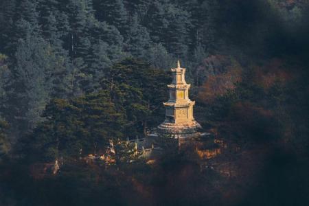 2023广元天曌山国家森林公园旅游攻略 - 门票 - 交通指南