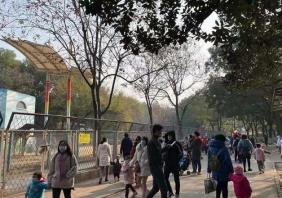 武汉动物园现在人多吗 武汉动物园游客多吗