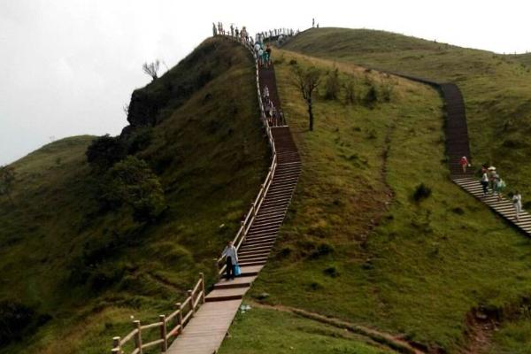 天龍頂國家山地公園旅游 門票地址及交通指南