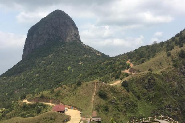 天龙顶国家山地公园旅游 门票地址及交通指南