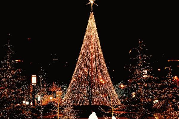 2020杭州海皇星乐园圣诞活动门票优惠-亮点