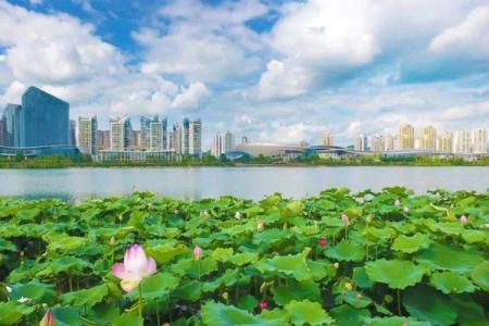 2023遂宁观音湖国家湿地公园旅游攻略 - 景点介绍 - 门票价格