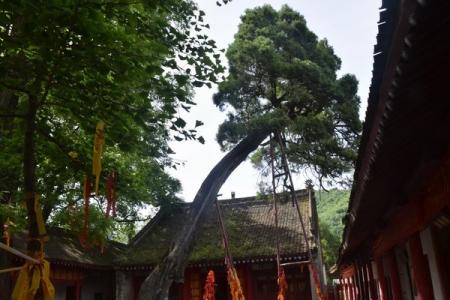 2022潜龙寺旅游攻略 - 门票 - 交通 - 天气