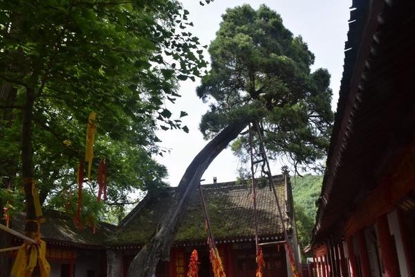 2022潛龍寺旅游攻略 - 門票 - 交通 - 天氣