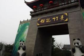 2024乐山仙芝竹尖熊猫生态园旅游攻略-门票价格-景点信息