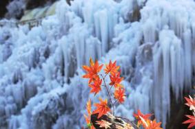 神泉峡冰瀑什么时候开放 北京神泉峡冰瀑旅游攻略