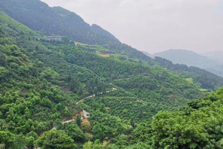 2022宜宾佛现山旅游攻略 - 交通指南 - 门票