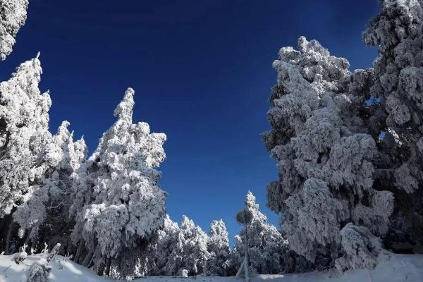 重庆看雪景去哪里好 重庆看雪景的最佳地点