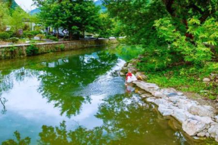 2022达州圣水桃园旅游攻略 - 景点介绍 - 开放时间