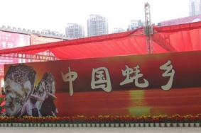 2021深圳跨年有什么展览活动 深圳跨年展览活动汇总