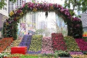 深圳迎春花市2021地址时间及摊位招标