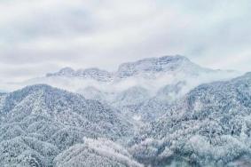 成都下雪了吗 成都附近赏雪的地方