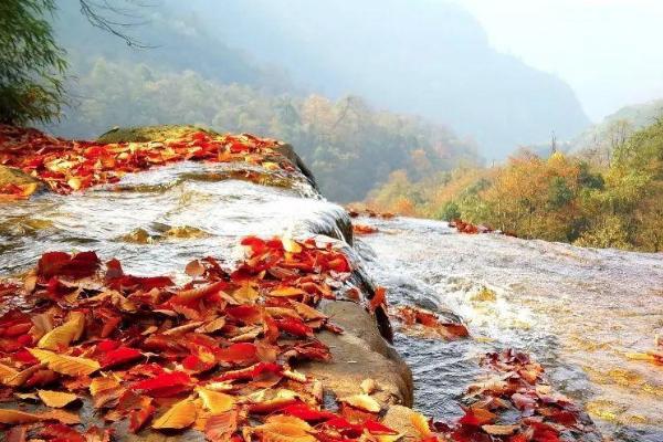 小草壩風景區在哪里 小草壩風景區門票價格