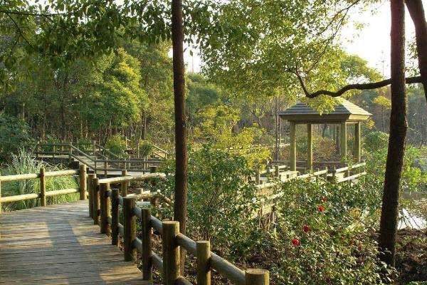 2021上海公园1月花展活动有哪些 上海公园1月花展活动汇总