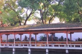 2024杭州花圃旅游攻略-门票价格-景点信息