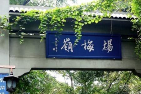 2022杨梅岭游玩攻略 - 门票 - 开放时间 - 交通