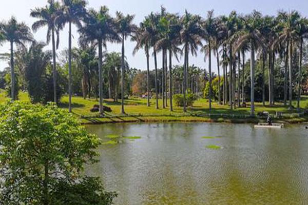2022儋州热带植物园游玩攻略 - 门票价格 - 开放时间 - 交通 - 地址