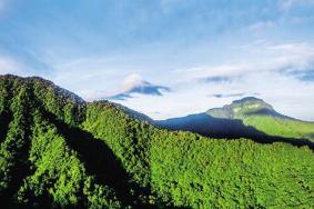 黎母山國家森林公園游玩攻略-門票價格-景點信息