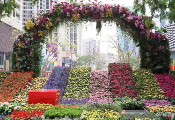 2021深圳迎春花市取消 春节深圳买花去哪里买 深圳花卉市场在哪里